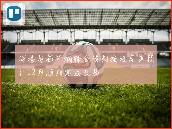 海港与茹子楠转会谈判接近尾声预计12月顺利完成交易